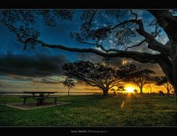 ATARDECER SINUANO