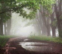 puddle