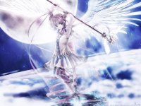 angel sakura