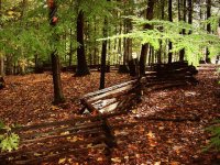 split rail fence