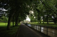The Eden.