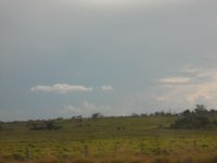 paisagem