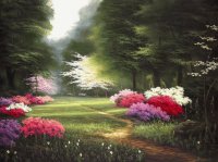 paisagem