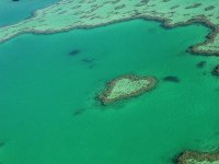 Whitsunday, Arrecifes
