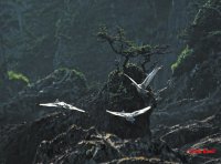 paisagem