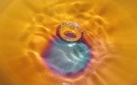 gota