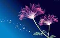 flores violetas