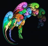 birds 195