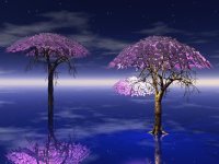 Trees 207