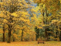 autumn