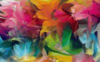Colorful Feathers