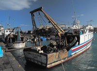 barco