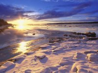 Winter 245