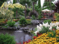 Exotic Gardens