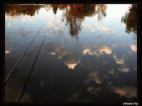 poems