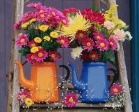 flores