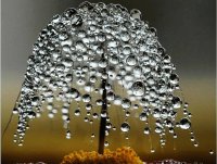 raindrops4