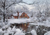 winter scene