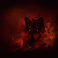 red wolf