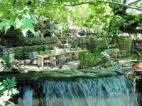 Imágenes