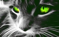 animais