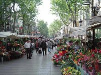 Rambla de les Flors, Barcelona