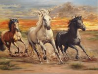caballlos al natural
