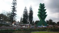 Las Araucarias