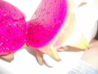 fruto