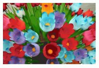 Flores