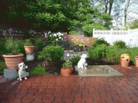 Garden Wide View