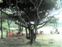 praia