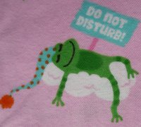 Pajama Frog