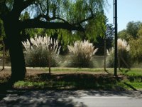 Golf club Mendoza
