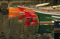 Barcas