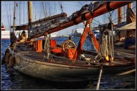 Velero 12