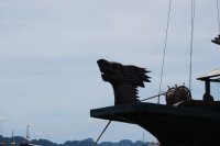 Velero 13