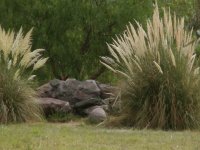 parque San Martin