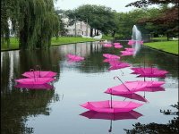 pink umbrellas