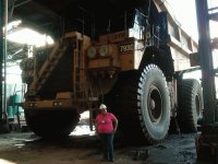 CAMION ROQUERO