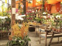 Orquidario