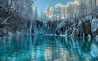 iced trees and water