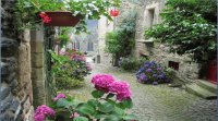 village3
