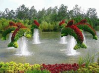 jardim