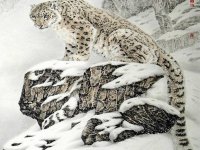 Leopardo