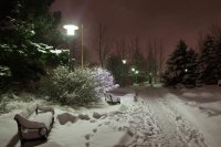 night snow scene