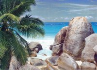 south seas 5