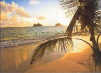 south seas  12