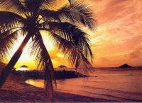 south seas 17
