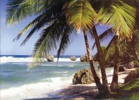 south seas 18